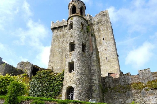 2-Day Cork and Blarney Castle Rail Tour from Dublin - From Dublin Heuston to Cork by rail