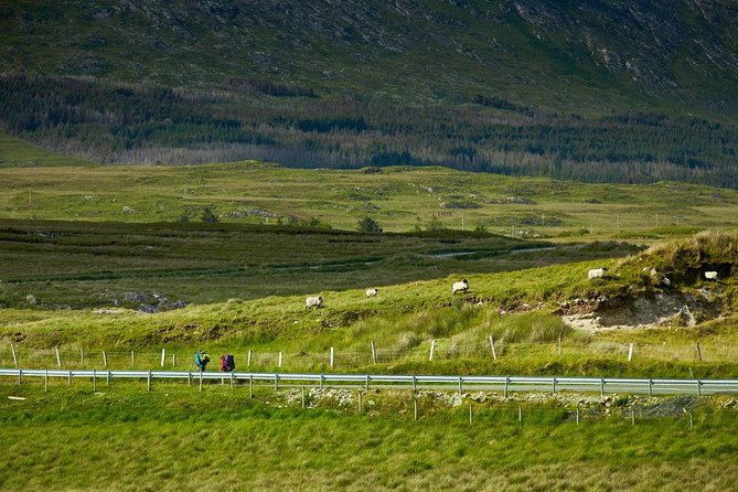 2-Day Western Ireland Tour from Dublin:Including Galway and Cliffs of Moher - Day two: Galway Bay, the Burren, and the Atlantic cliffs