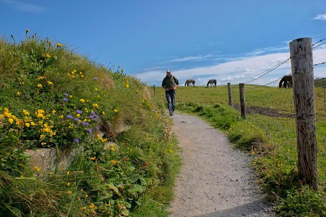 2-Day Wild Atlantic Way Tour From Dublin - The Cliffs of Moher are the day’s main event