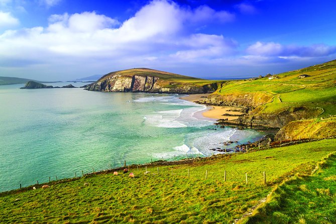 3-Day Dingle, Killarney and the Wild Atlantic Way Small-Group Tour from Dublin - Killarney gives you time for lunch and a town break
