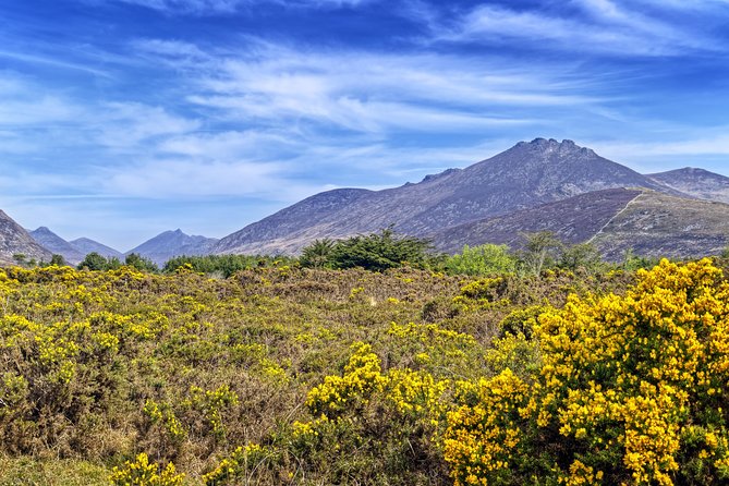 3-Day Discover Northern Ireland Small-Group Tour from Dublin - Is the $847.84 price good value?