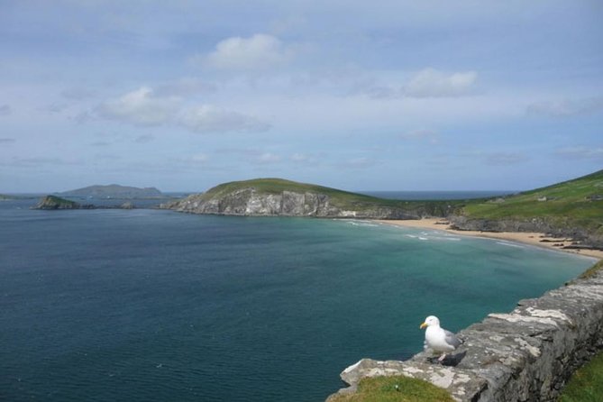 5-Day Northern Ireland and Atlantic Coast Small-Group Tour from Dublin - Day three: Mayo, famine history, and Achill Island