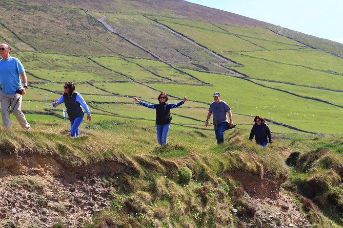 6-Day Magical Southern Explorer Small Group Tour - The Burren Farm Experience and the final afternoon in Galway