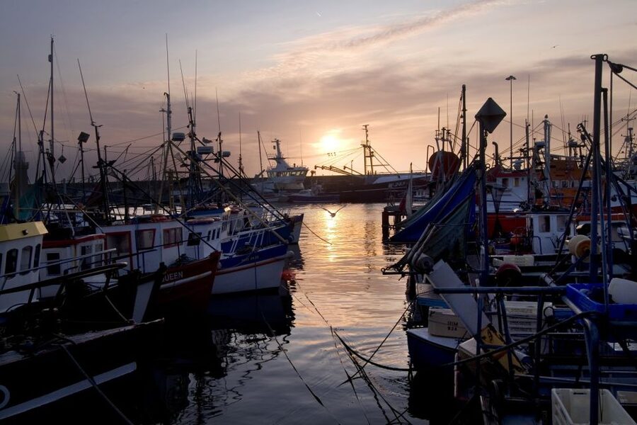 6-Day Tour of Southern Ireland from Dublin - What the $997 price really includes