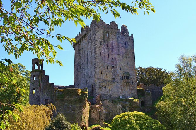 7-Day Great Atlantic Adventure Small-Group Tour of Ireland from Dublin - Why this Ireland tour works so well