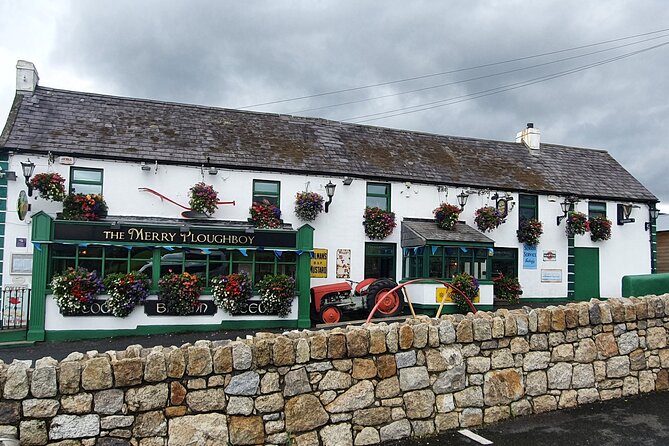 Afternoon Dublin Mountain Pub Tour(small group pub crawl max 15) - Who should book this mountain pub tour