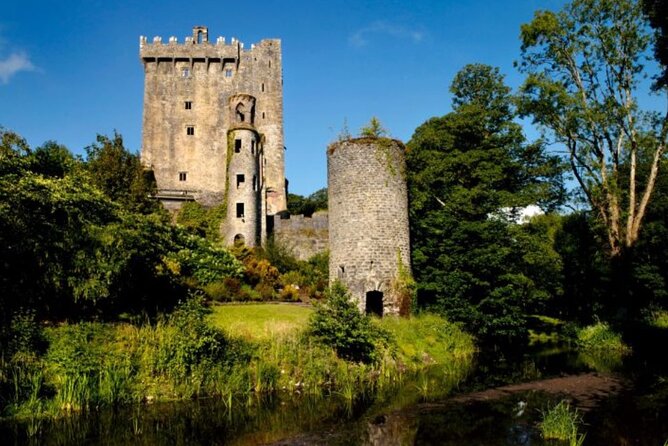 Blarney Castle and The Rock of Cashel with Private Chauffeur Tour - Blarney Castle, the Stone, and the Castle Grounds