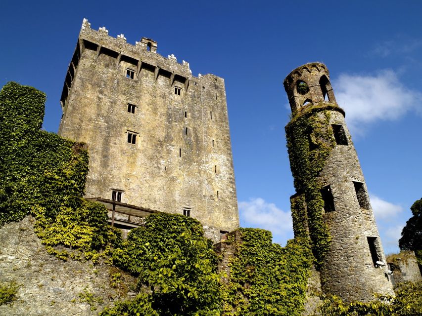 Blarney Castle Full-Day Tour from Dublin - Small details that make the day easier