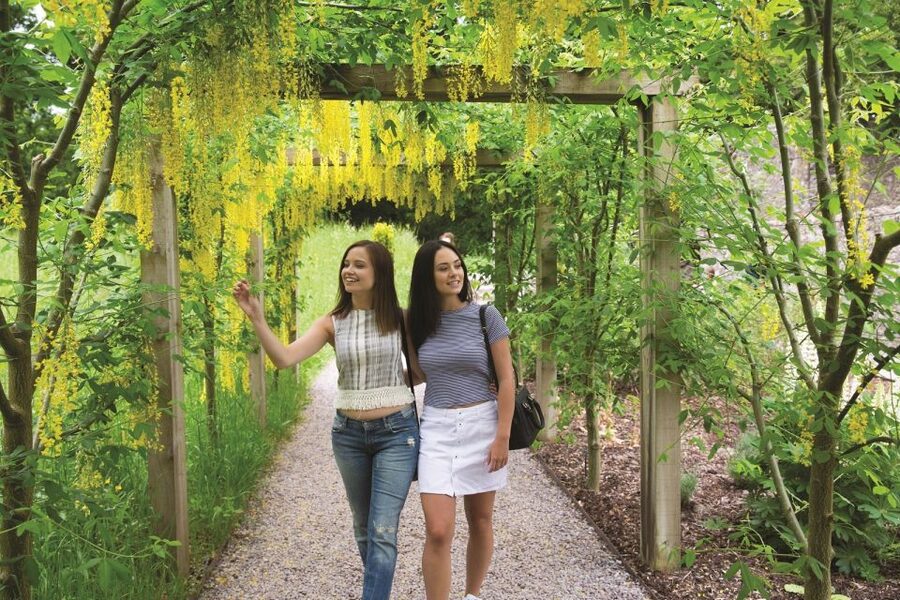 Blarney Castle Full-Day Tour from Dublin - Why this 13-hour day works