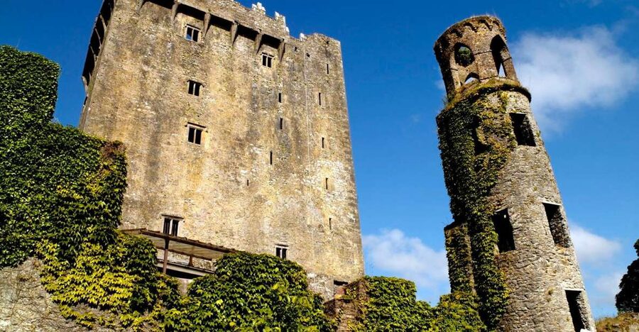 Blarney Castle Full-Day Tour from Dublin - Who will enjoy this tour most