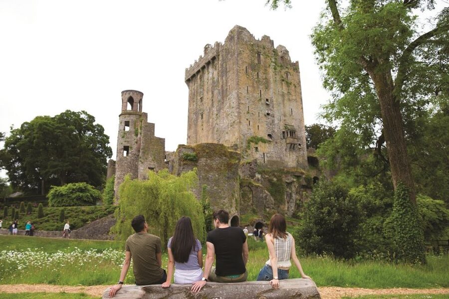 Blarney Castle Full-Day Tour from Dublin - The drive through County Tipperary and the Golden Vale