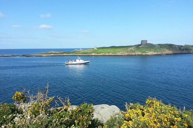Boat Trip from Dublin City to Dun Laoghaire - Weather, clothing, and choosing your seat