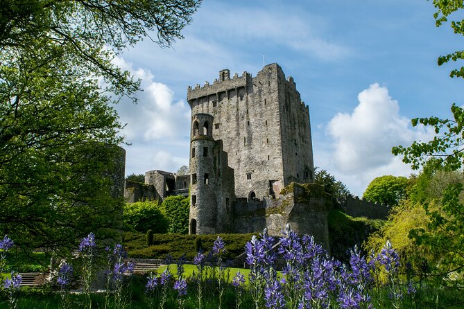 Chauffeur Blarney and Cork Private Day Tour from Dublin - A long Irish day with three strong stops