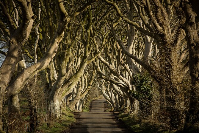 Chauffeur Giants Causeway & Belfast Private Day Tour From Dublin - Dunluce Castle and a memorable coastal view