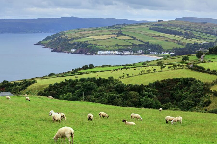 Cliffs of Moher and Blarney 2-Day Tour from Dublin - Blarney Castle turns a famous tradition into a proper visit