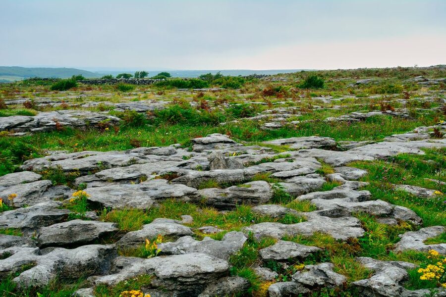 Cliffs of Moher and Blarney 2-Day Tour from Dublin - The Cliffs of Moher are the main event