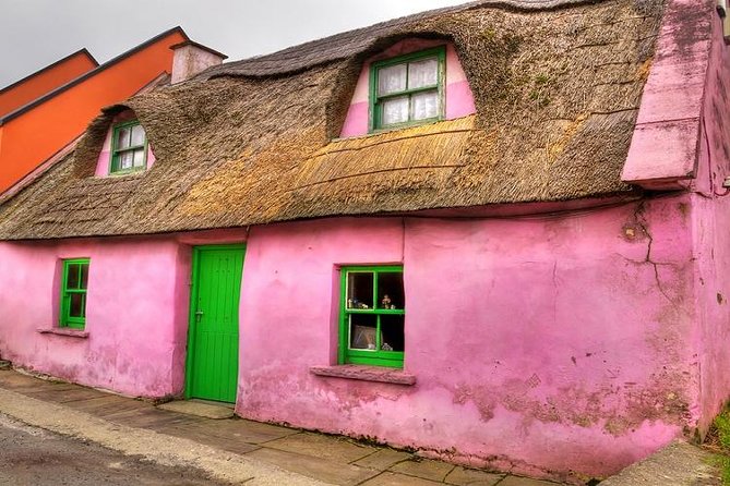 Cliffs of Moher, Burren and Galway Day Tour from Dublin - The Burren: strange stone and hardy plants