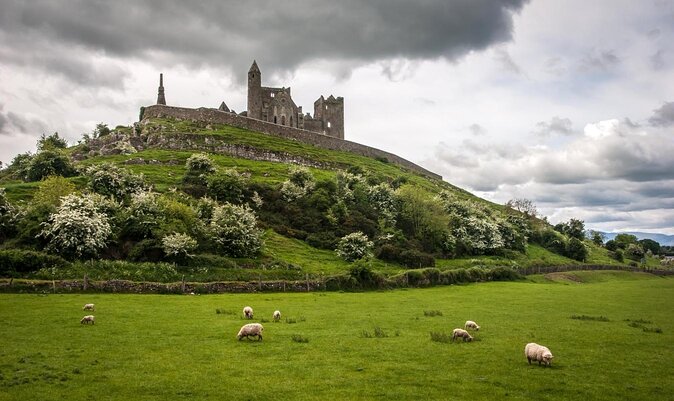 Cork City, Cahir Castle and Rock of Cashel Tour with Spanish Speaking Guide - A South Ireland Day Trip With Three Very Different Stops