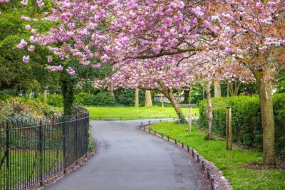 Cupid’s Trail: Romantic Puzzle Quest in Dublin