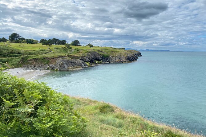 Day Tour from Dublin to Wicklow: Cliffs, Heritage, Wildlife, Gaol - A coastal Wicklow day without the marathon schedule