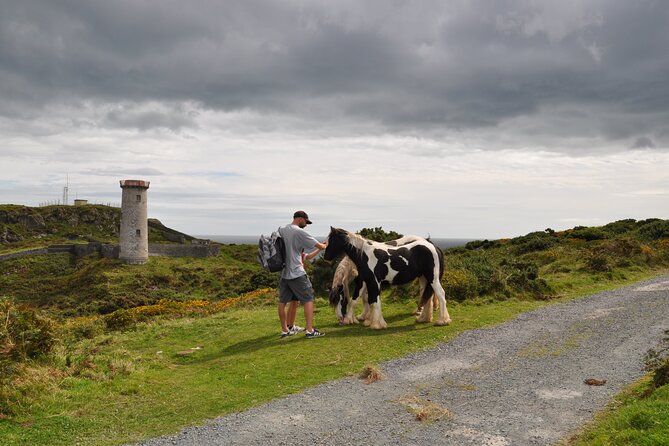 Day Tour from Dublin to Wicklow: Cliffs, Heritage, Wildlife, Gaol - Wicklow Gaol and the extra admission cost