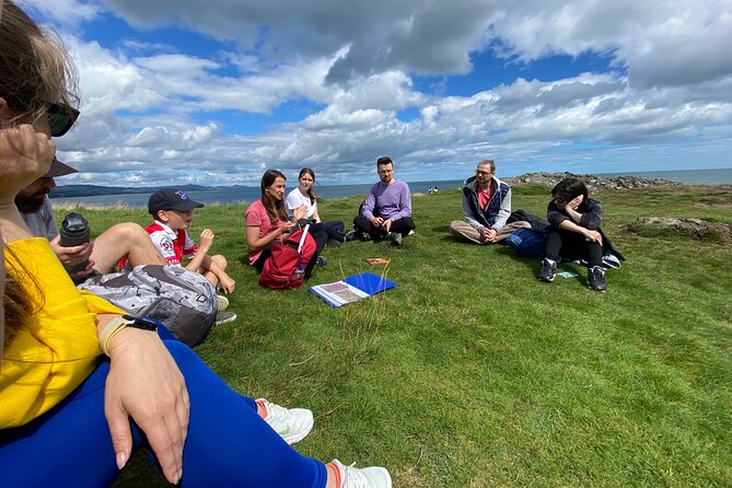 Day Tour from Dublin to Wicklow: Cliffs, Heritage, Wildlife, Gaol - What the $781.03 group price really means