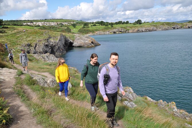 Day Tour from Dublin to Wicklow: Cliffs, Heritage, Wildlife, Gaol - Who will enjoy this private Wicklow outing