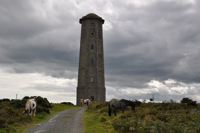 Day Tour from Dublin to Wicklow: Cliffs, Heritage, Wildlife, Gaol - A guide can make or break the small sites