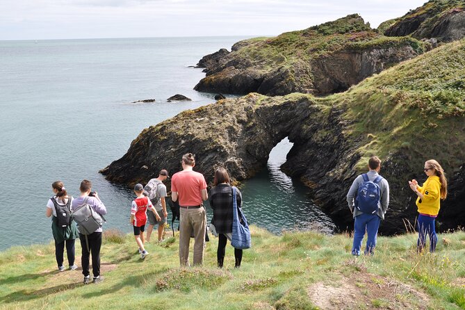 Day Tour from Dublin to Wicklow: Cliffs, Heritage, Wildlife, Gaol - Should you book the Dublin to Wicklow tour?