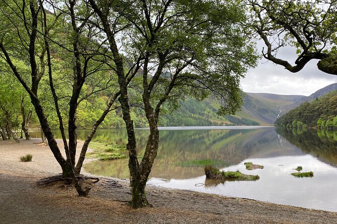 Day Tour from Dublin: Wicklow Mountains, Glendalough, Powerscourt - Powerscourt Waterfall and its 121-meter drop