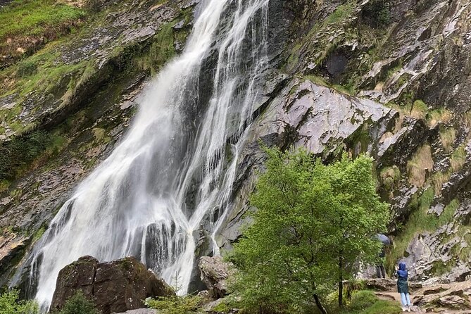 Day Tour from Dublin: Wicklow Mountains, Glendalough, Powerscourt - Lunch in Wicklow, with room for dietary needs
