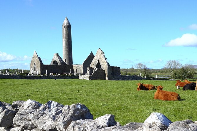 Day trip to Cliffs of Moher & Bunratty Castle and Ennis - Ninety minutes above the Cliffs of Moher