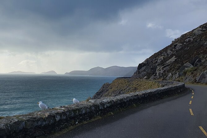 Dublin Airport to Galway ,Private Chauffeur Service - Who will appreciate this transfer most?