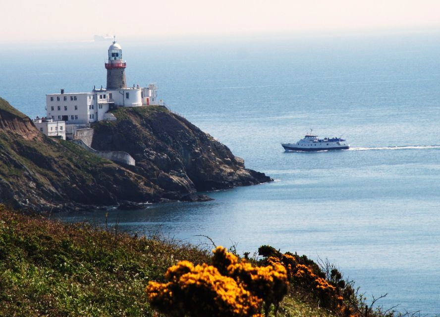 Dublin Bay: Cruise from the City Centre to Dun Laoghaire - Bull Island and Dublin Bay Wildlife