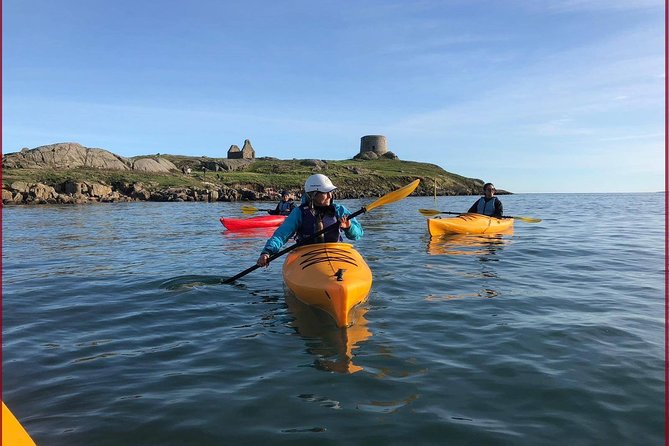 Dublin Bay Seal Kayaking Safari at Dalkey - Key points to know before booking