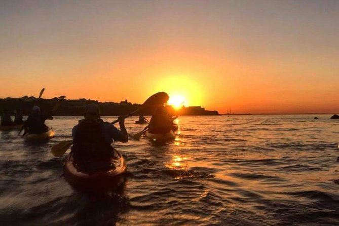 Dublin Bay Seal Kayaking Safari at Dalkey - Why the seals make this Dublin outing special