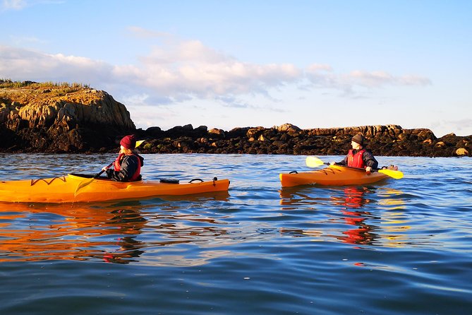 Dublin Bay Seal Kayaking Safari at Dalkey - Reaching Dalkey Island when conditions allow