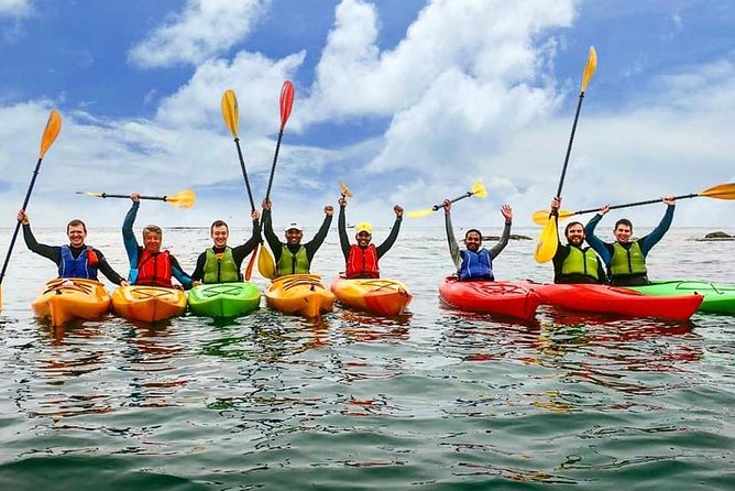 Dublin Bay Seal Kayaking Safari at Dalkey - What the three hours feel like