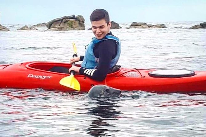 Dublin Bay Seal Kayaking Safari at Dalkey - Getting started at Bullock Harbour