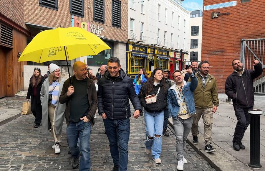 Dublin: Bucket List Sights Walking Tour - Dubh Linn Garden and Dublin Castle’s two courtyards