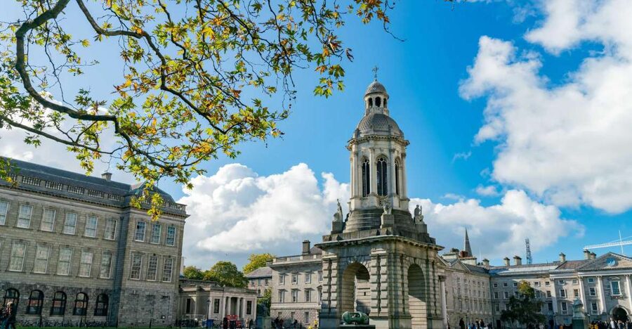 Dublin City Walking Tour, Vikings, St. Partick, Highlights - Key points to know before you book