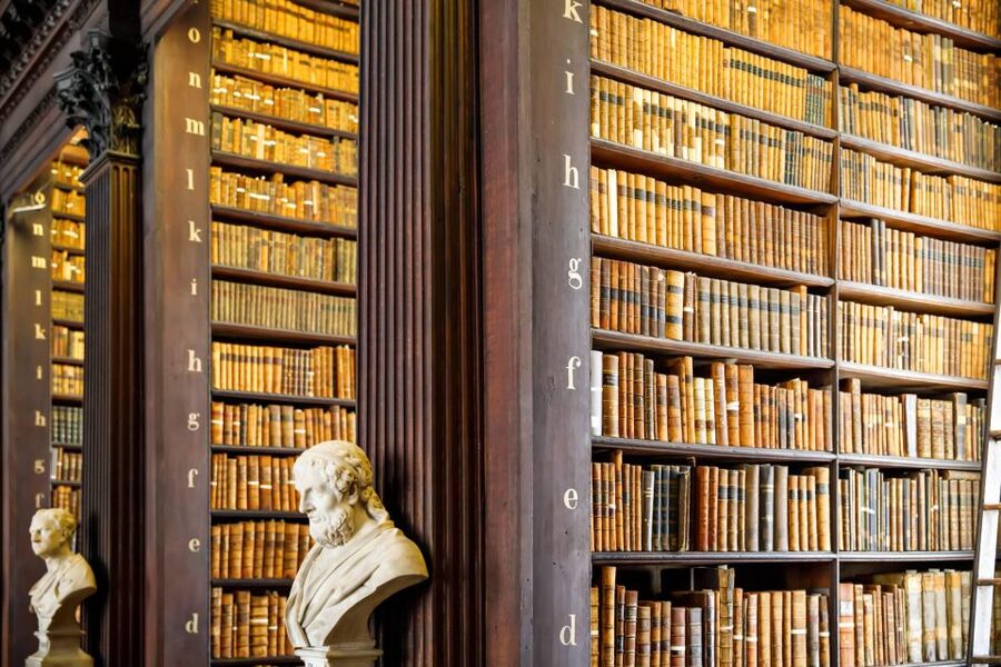Dublin City Walking Tour, Vikings, St. Partick, Highlights - How the guide shapes the experience