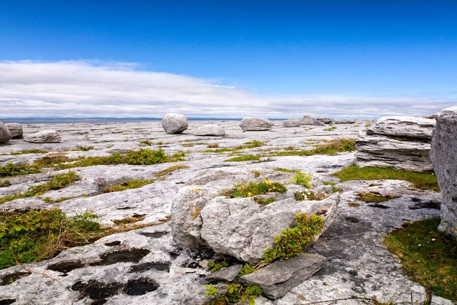 Dublin: Cliffs of Moher, Atlantic Edge & Galway City - The Burren coast, where the road becomes the attraction