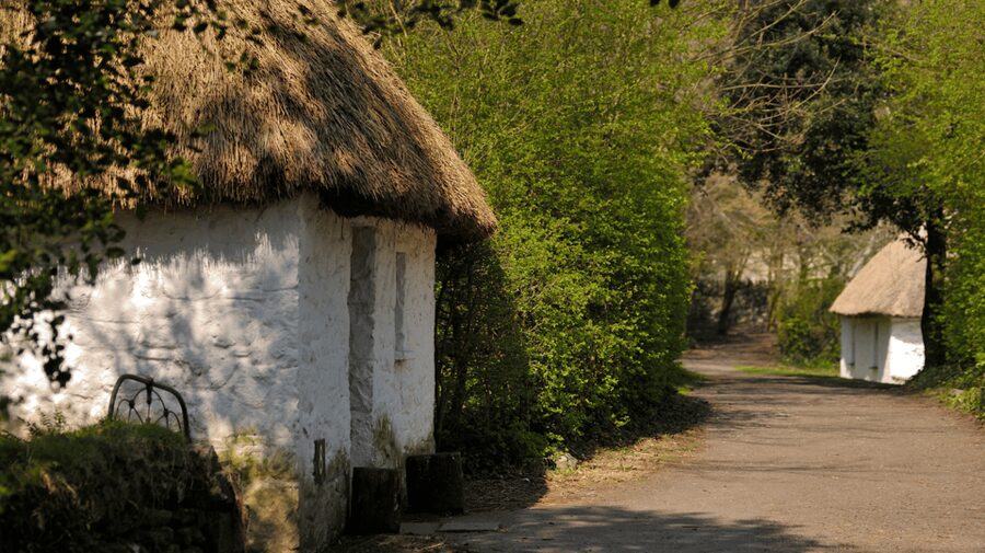 Dublin: Cliffs of Moher, Ennis, & Bunratty Castle Day Tour - Who should book this $91 tour?