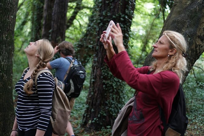 Dublin Coastal Hike with Howth Adventures - Starting at Howth Market and the fishing harbor