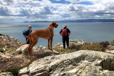 Dublin Coastal Hike with Howth Adventures