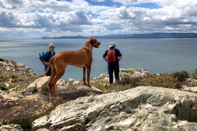 Dublin Coastal Hike with Howth Adventures - St Mary’s Abbey and Howth’s older stories