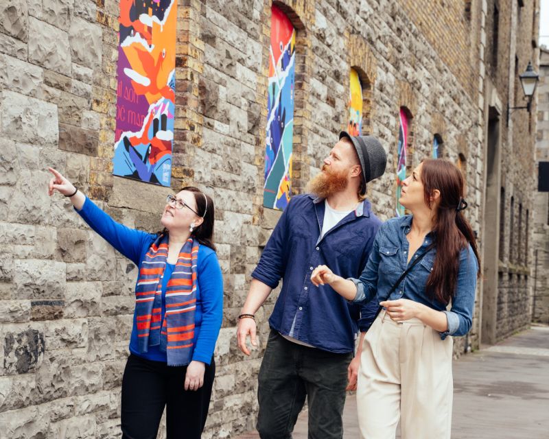 Dublin: Customizable Private Walking Tour with a Local Host - Walking, pickup, and practical limits