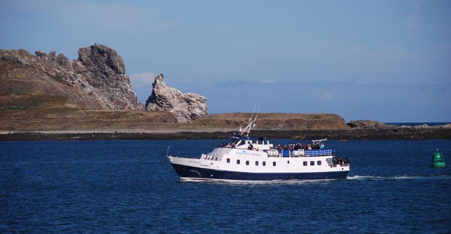 Dublin: Dublin Bay Cruise from Howth to Dun Laoghaire - Key points to know before booking