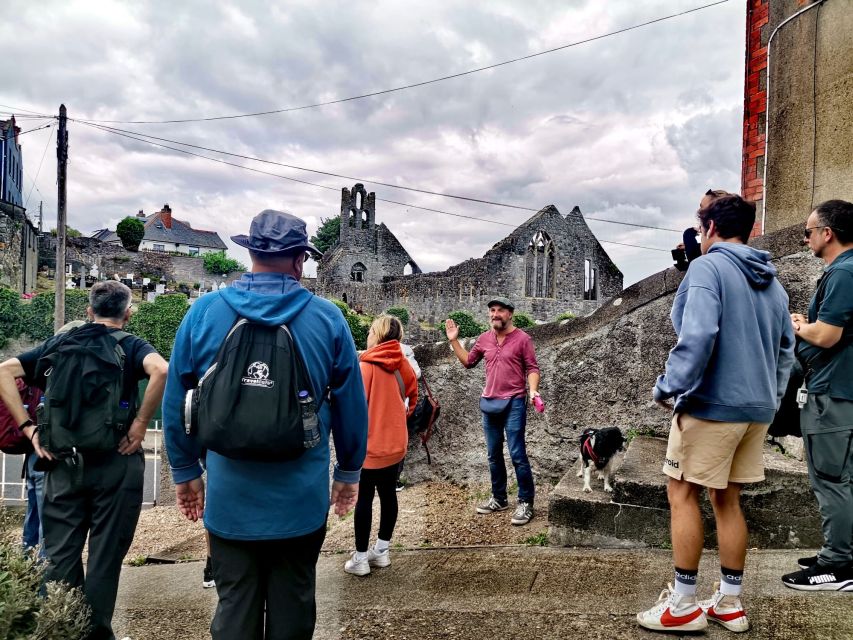 Dublin: Dublin Coastal Hike and Pints & Puppies - Who should book this Howth experience
